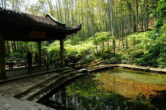 Half-Day Hangzhou Yunxi Bamboo Forest and Tea Plantation Experience - Exploring the Half-Day Hangzhou Yunxi Bamboo Forest and Tea Plantation Experience