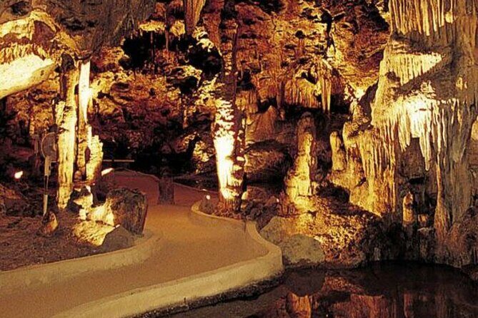 Half Day Hato Cave, Flamingo & Beach Tour - Key Points
