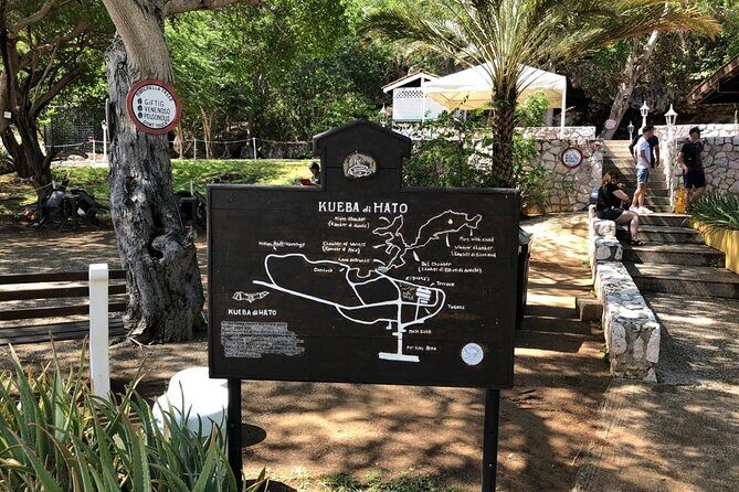 Half Day Hato Cave, Flamingo & Beach Tour - An Introduction to the Tour