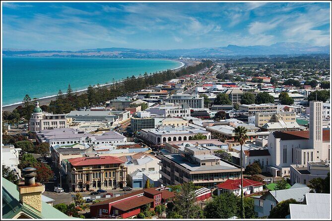 Half Day-Hawke's Bay + Premium Winery Tour - Exploring Hawkes Bay: A Balanced Look at the Half Day - Hawkes Bay + Premium Winery Tour