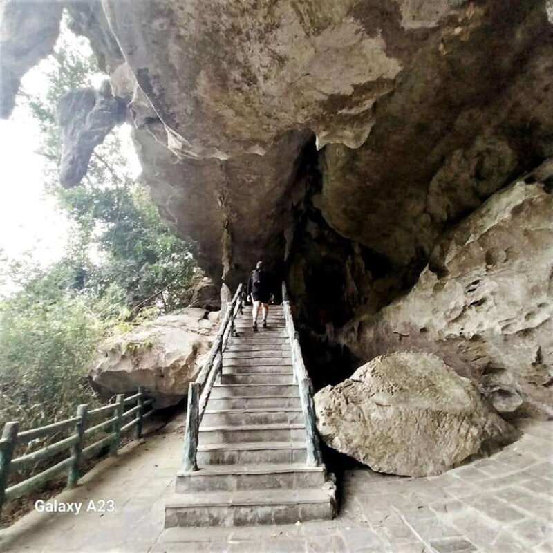Half Day Hiking to Cat Ba National Park with a Guide - The Experience for Different Travelers