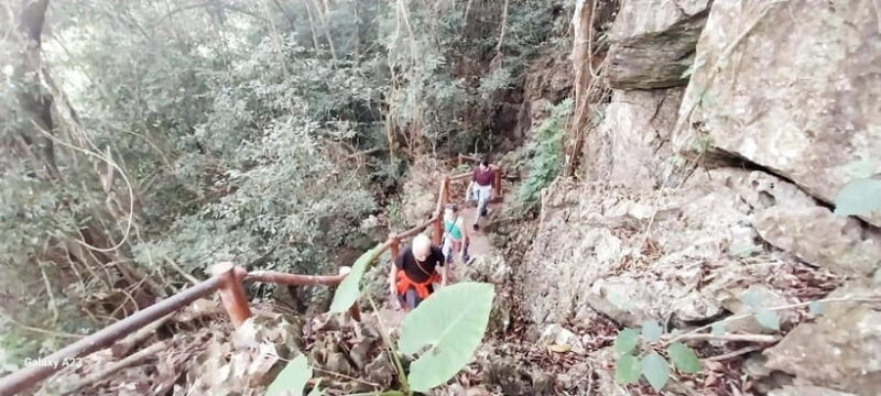 Half Day Hiking to Cat Ba National Park with a Guide - The Sum Up: Who Should Consider This Tour