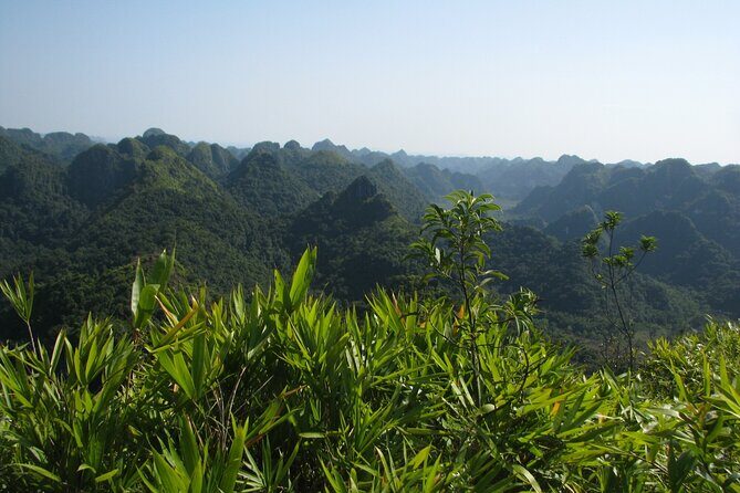 Half Day Hiking to Discover Cat Ba National Park with a Guide - Final Thoughts
