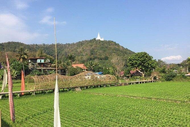 Half-day hilly E-bike adventure (fully paved roads, GUIDED) - The Itinerary: From Temples to Village Views