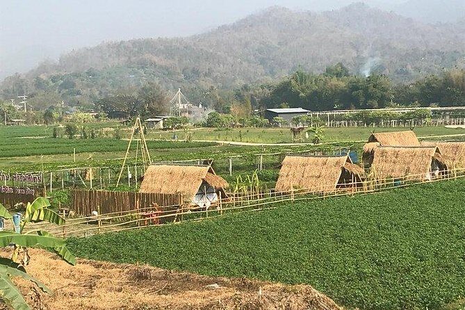 Half-day hilly E-bike adventure (fully paved roads, GUIDED) - The Temple and Village Stops