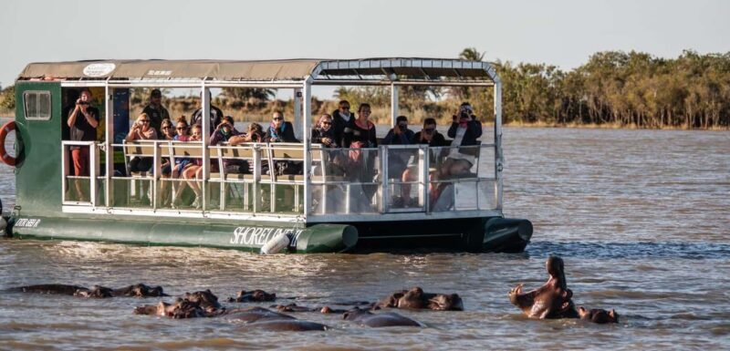 Half Day Hippo Boat Safari Isimangaliso Wetlands from Durban - Frequently Asked Questions