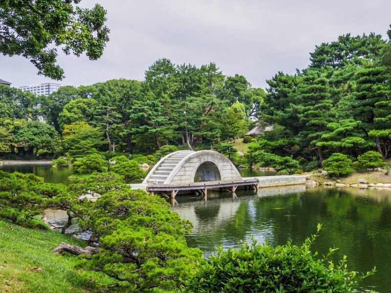 Half-Day Hiroshima Highlights Tour - Key Points