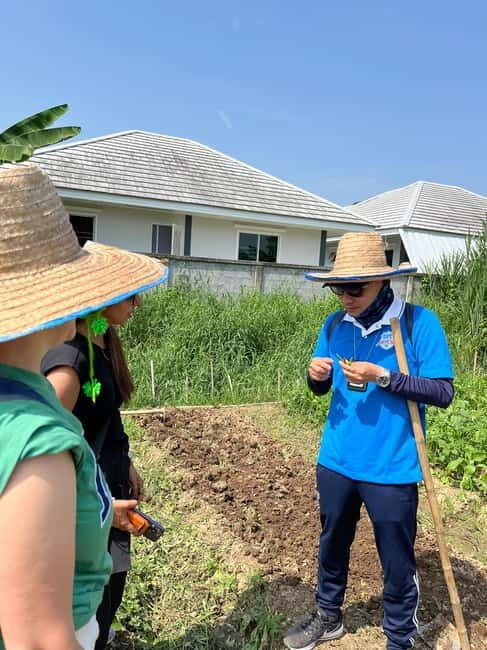 Half Day Historical & Cultural Experience Bicycle Tour - An In-Depth Look at the Chiang Mai Bicycle Tour