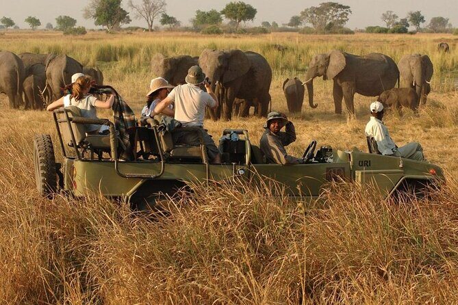 Half Day Hluhluwe Imfolozi Game Reserve from Richards Bay - Key Points