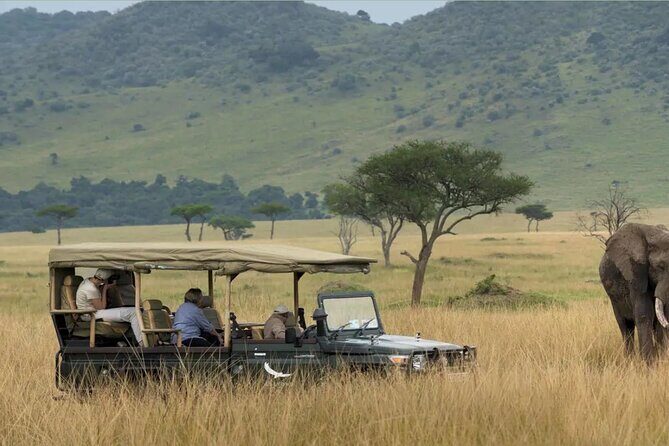 Half Day Hluhluwe Imfolozi Game Reserve from Richards Bay - Pricing and Value