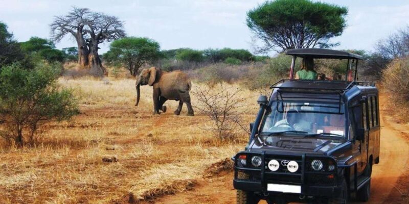 Half Day Hluhluwe Imfolozi Game Reserve from Richards Bay - FAQ