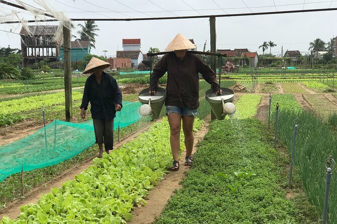 Half-Day Hoi An Countryside and Villages Tour by Bike - Practicalities and What You Can Expect