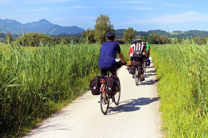 Half-day Hoi An Countryside Bike Tour - A Closer Look at the Itinerary