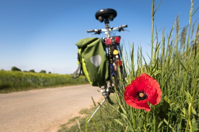 Half-day Hoi An Countryside Bike Tour - Who Should Consider This Tour?