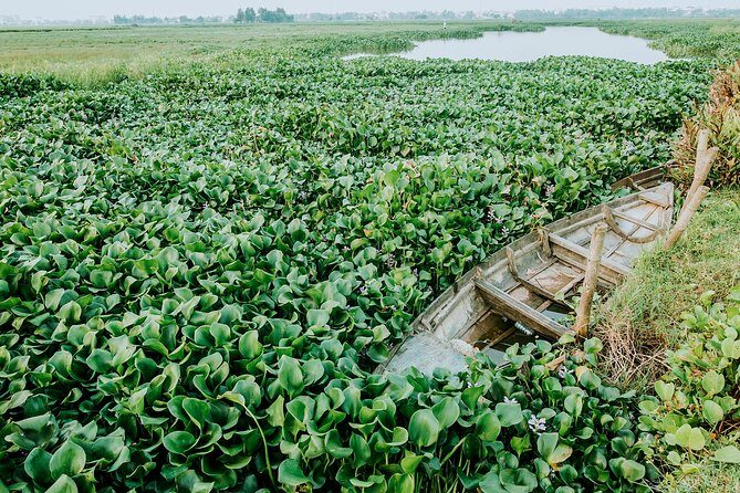 Half-day Hoi An Sunrise Or Sunset Photo Tour - Authentic Experiences and Genuine Scenery