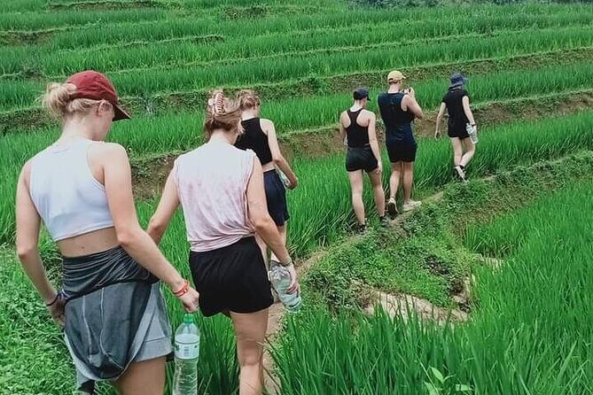 Half-Day Hometrek from Sapa with Hmong Sister House - A Deep Dive into the Experience