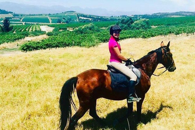 Half Day Horseback Wine Tour - Authentic Insights from Other Travelers
