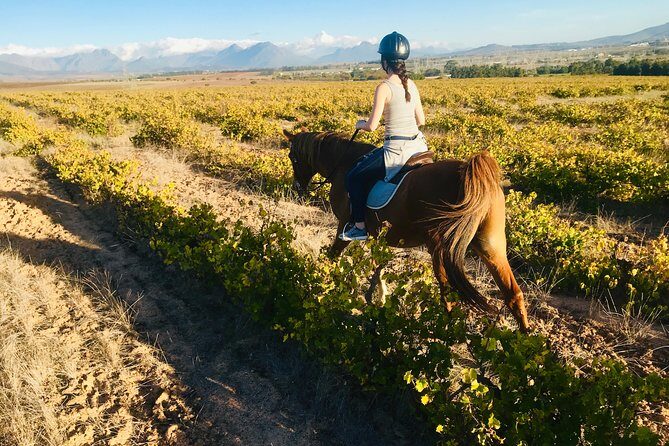 Half Day Horseback Wine Tour - FAQ