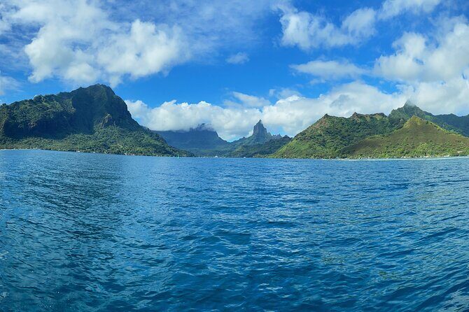 Half-Day Humpback Whales Encounter in Moorea - What to Expect from Your Moorea Whale Tour