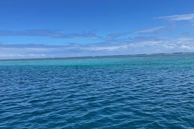 Half-Day Humpback Whales Encounter in Moorea - FAQ