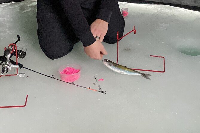 Half Day Ice Fishing Adventure in Wasilla - What to Expect During the Ice Fishing Adventure