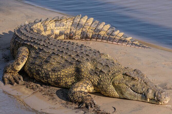Half Day iSimangaliso Boat Safari Tour To Richards Bay - The Sum Up: Is It Worth It?