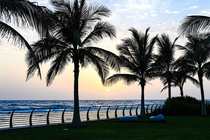 Half Day Jeddah Traditional City Tour - Cost and Value