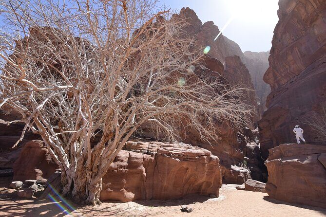 Half day Jeep and camel tour No stay - FAQ