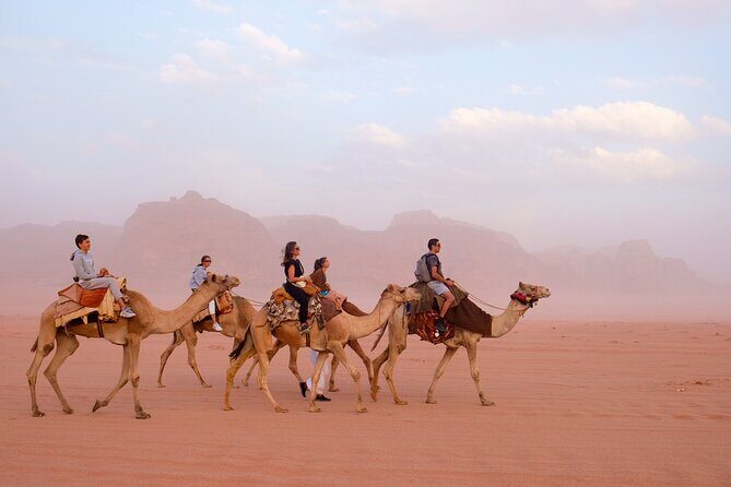 Half day Jeep Tour with Camel Ride and overnight in Camp (All Meals incl.) - The Sum Up