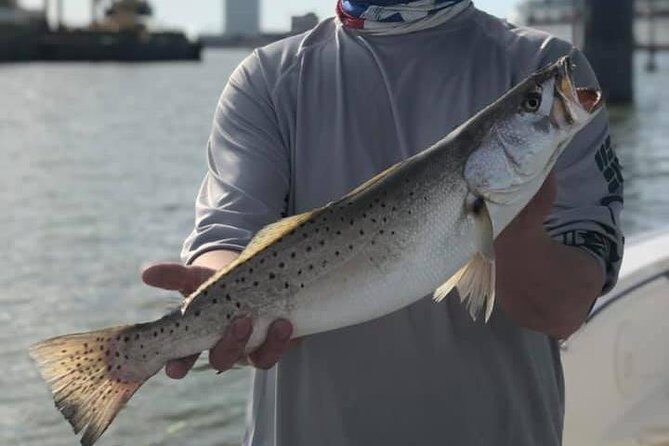 Half-Day Jetty Fishing Trip from Galveston - The Sum Up: Why Choose This Galveston Fishing Trip?