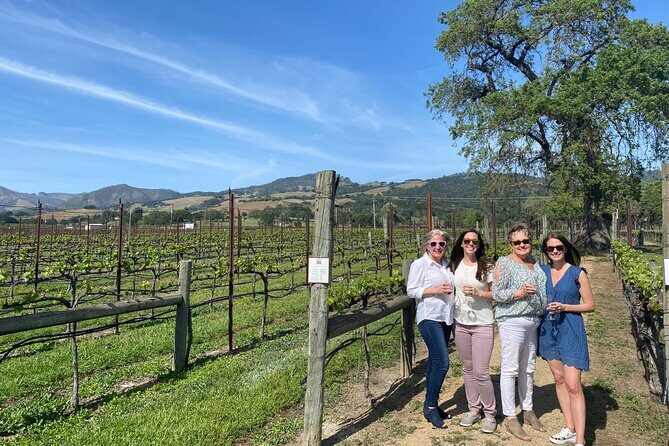 Half Day Join in Group Wine Tasting Tour - The Itinerary: What to Expect