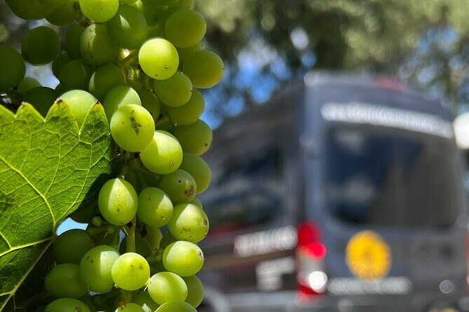 Half Day Join in Group Wine Tasting Tour - Authenticity and Style