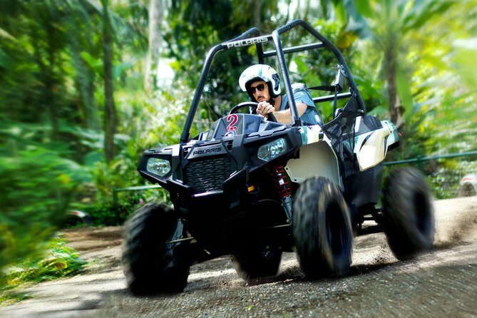 Half Day Jungle Buggies in Bali with Guide - The Buggies: Well-Made, Safe, and Fun