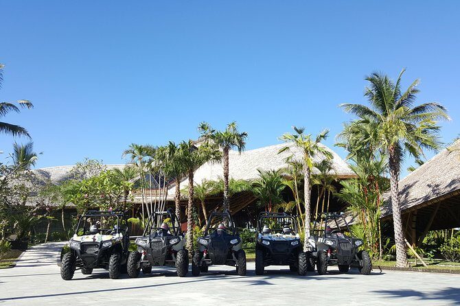 Half Day Jungle Buggies in Bali with Guide - What the Experience Feels Like