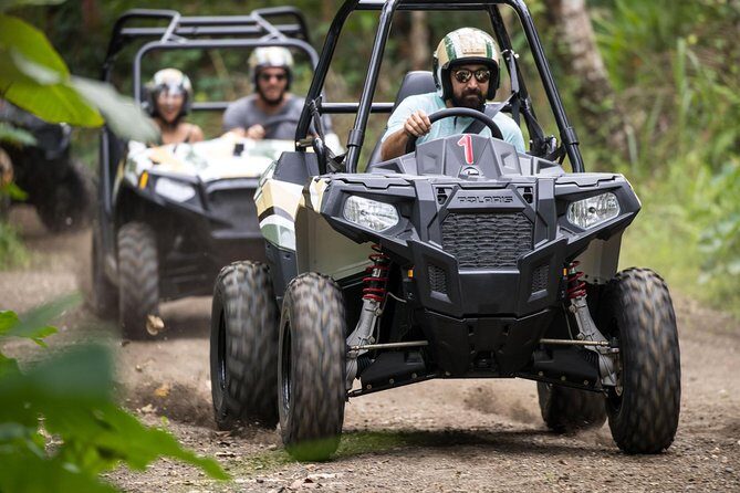 Half Day Jungle Buggies in Bali with Guide - Authentic Feedback from Past Travelers
