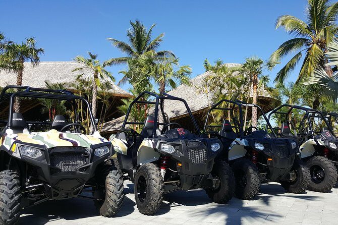 Half Day Jungle Buggies in Bali with Guide - Who Will Enjoy This Tour?