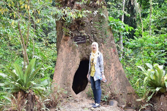 Half-Day Jungle Tour Including Crystal Pool and Krabi Hot Springs - Who Should Consider This Tour?