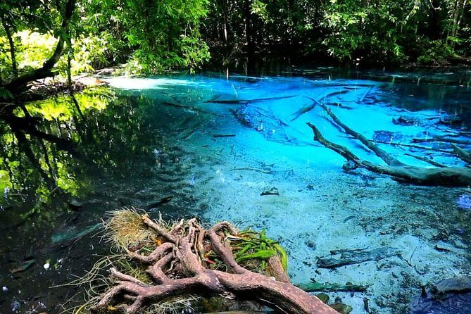 Half Day Jungle Tour to Emerald pool and Krabi Hot Spring - Exploring the Itinerary: From Forest to Spring