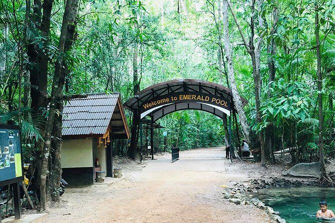 Half Day Jungle Tour to Emerald pool and Krabi Hot Spring - Pricing and Value