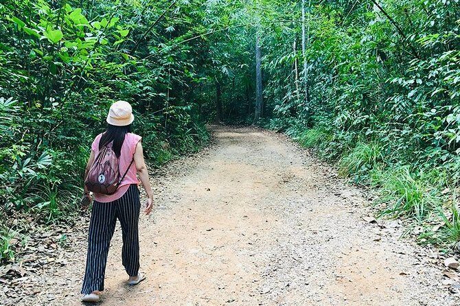 Half Day Jungle Tour to Emerald pool and Krabi Hot Spring - What Travelers Can Expect