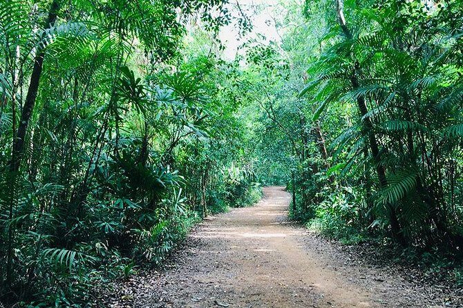Half Day Jungle Tour to Emerald pool and Krabi Hot Spring - Final Thoughts: Who Should Consider This Tour?
