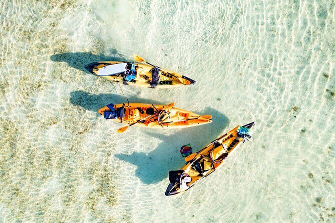 Half-Day Kaneohe Bay Sandbar Self-Guided Kayaking Experience - Experience Overview: What to Expect
