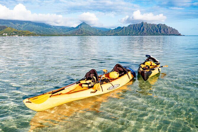 Half-Day Kaneohe Bay Sandbar Self-Guided Kayaking Experience - Frequently Asked Questions