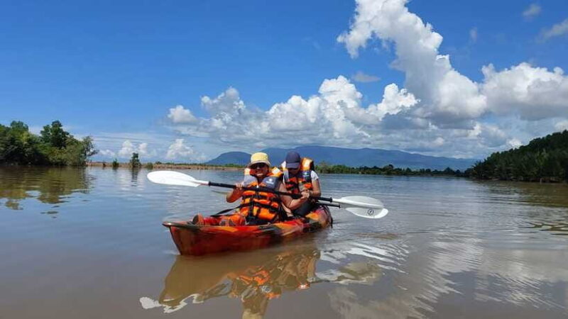 Half Day Kayak Guided Tour to the Green Mangroves Forest - The Return Journey: No Paddling Back