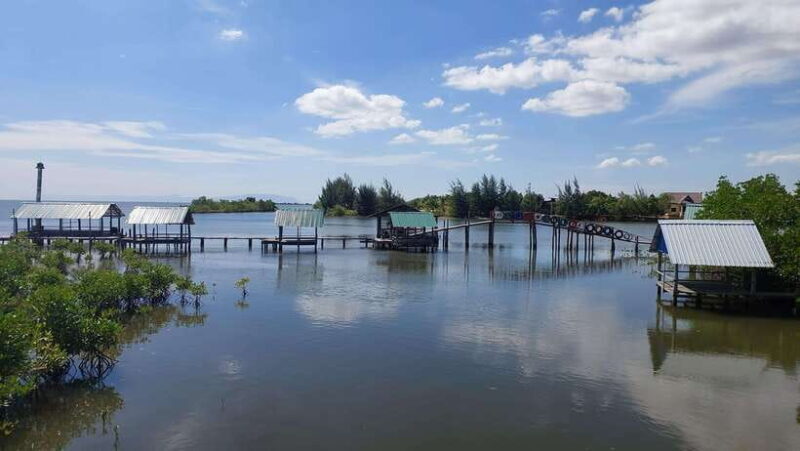 Half Day Kayak Guided Tour to the Green Mangroves Forest - Final Thoughts: Is This Tour Worth It?