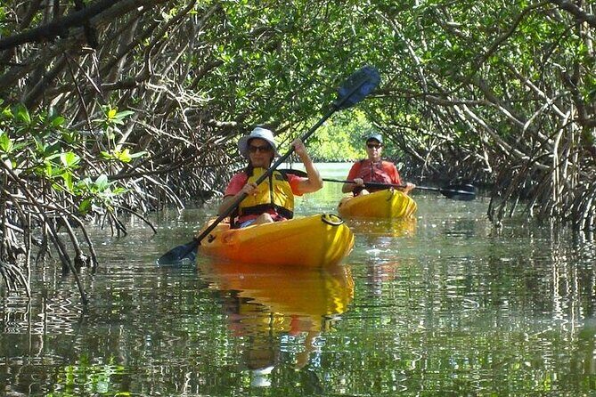 Half Day Kayak or SUP Rental (3hr) - Bunche Beach - Exploring Bunche Beach by Kayak or Stand-Up Paddleboard