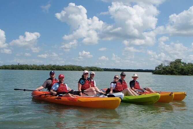 Half Day Kayak or SUP Rental (3hr) - Pelican Bay - A Deep Dive Into the Experience