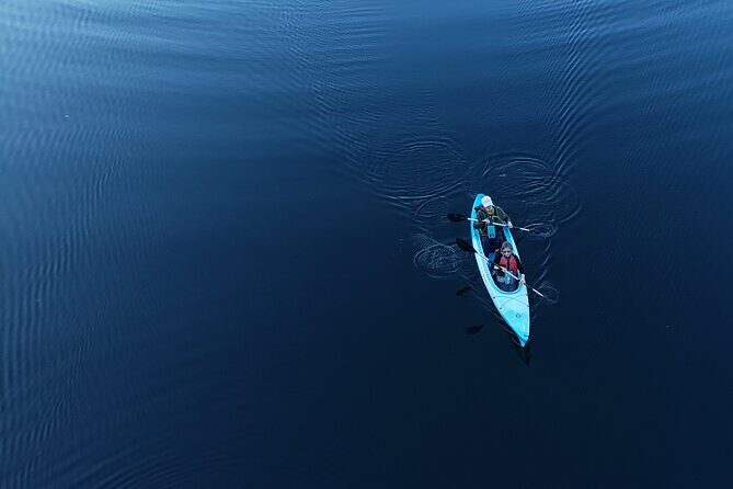 Half Day Kayak Rental on Sebago Lake - Wildlife and Scenery: What You Might See