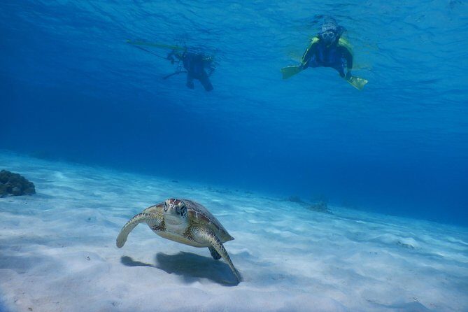 Half-day kayak tour on the Kerama Islands and Zamami Island - Discovering the Kerama Islands by Kayak: What to Expect