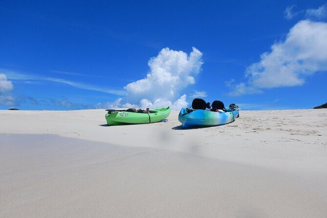Half-day kayak tour on the Kerama Islands and Zamami Island - Cost and Value: Is It Worth the Price?